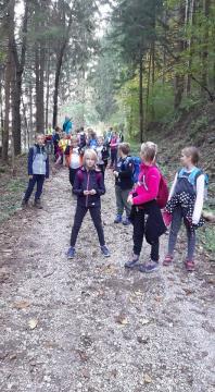 received_290269682772923