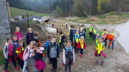 received_1065954077278263