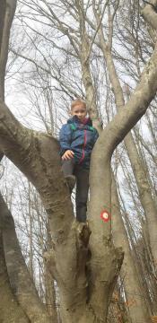 IMG-4567c486db863978e1d7cc8c4daaabe8-V