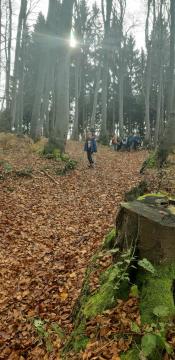 IMG-d0e89502a2e7f7a09a216fd37b176f95-V