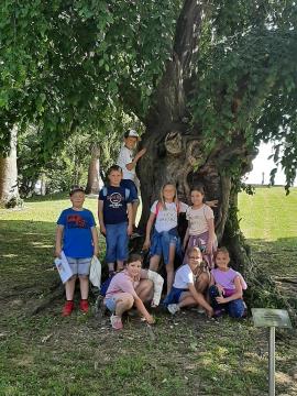 39853820220525_095020