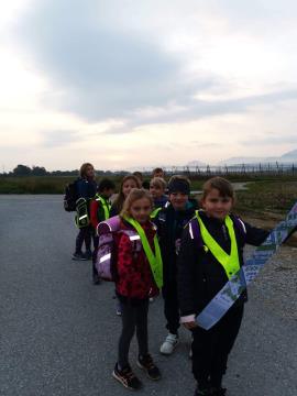 received_448440733852762[1]