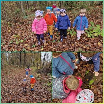 GridArt_20221122_125938513