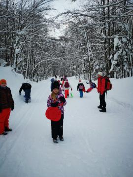 IMG-514ff45119fdea68234276366016e0e1-V