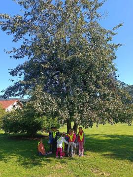 4864204456821664167285380