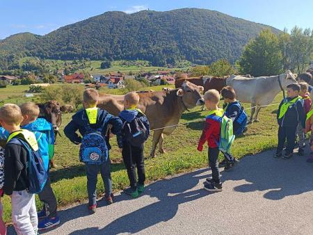 4864164456761664167343553