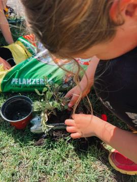 viber_image_2023-05-05_18-17-44-167