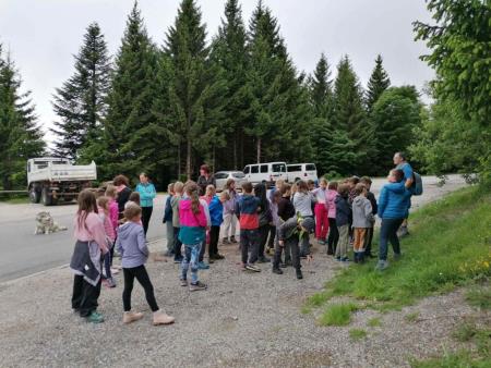 viber_image_2024-06-05_10-08-01-833