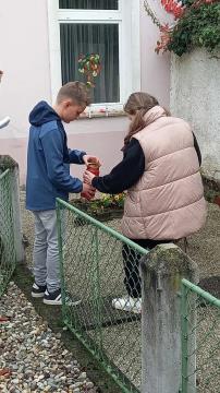 viber_image_2024-10-26_08-43-50-344