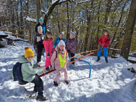 viber_image_2024-11-23_11-08-53-115