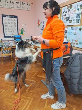 viber_image_2025-01-06_10-53-30-060