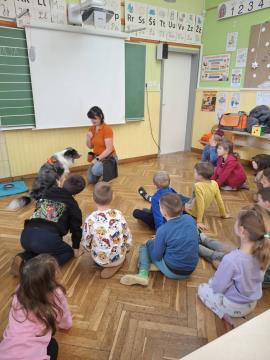 viber_image_2025-01-06_16-14-56-486