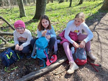 viber_image_2025-04-12_14-06-39-596