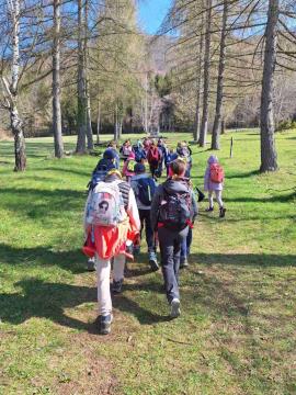 viber_image_2025-04-12_14-06-45-311