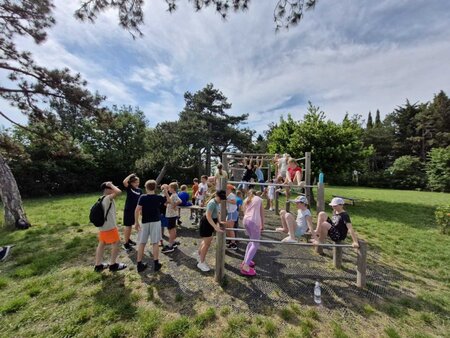 viber_image_2025-05-19_22-30-29-362