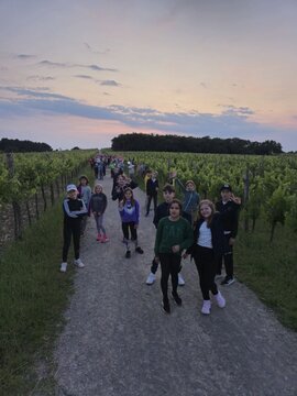 viber_image_2025-05-19_22-27-25-128