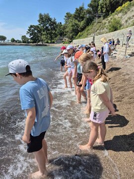 viber_image_2025-05-19_22-27-25-491