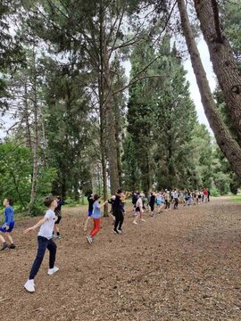 viber_image_2025-05-21_21-52-06-045