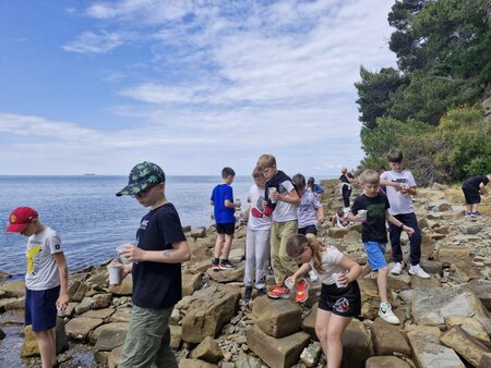 viber_image_2025-05-21_21-52-06-151