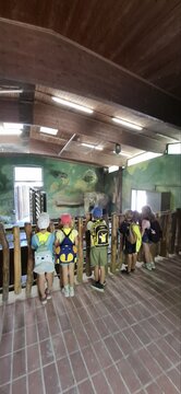 viber_image_2025-06-13_08-27-11-507