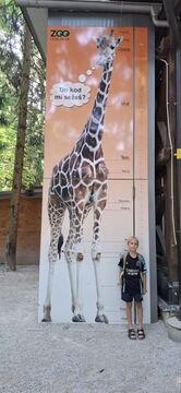 viber_image_2025-06-13_08-27-11-481