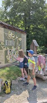 viber_image_2025-06-13_08-27-11-798