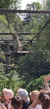 viber_image_2025-06-13_08-27-11-746