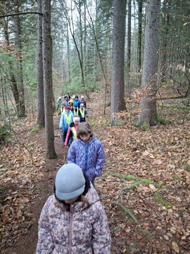 viber_image_2025-12-22_10-21-19-110