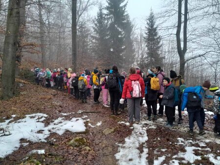 viber_image_2026-01-17_13-39-56-357