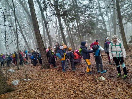 viber_image_2026-01-17_13-39-56-923