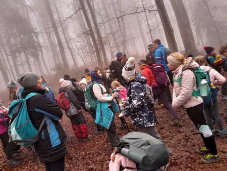 viber_image_2026-01-17_13-39-58-893